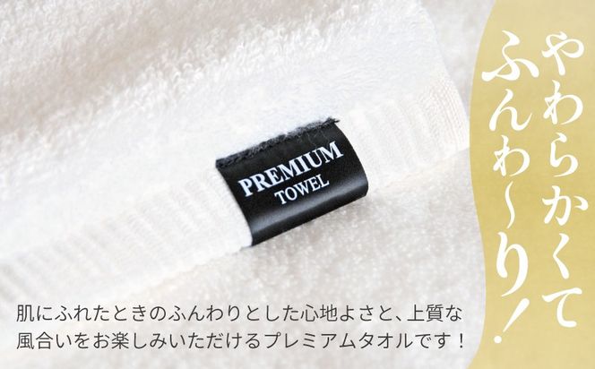 G5650 【スピード発送】GFプレミアム バスタオル 2枚セット ブルー【泉州タオル 日本製 国産 シンプル 日用品】