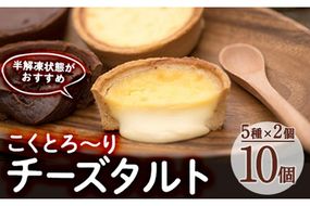 こくとろ～り チーズタルト (合計10個・5種各2個) チーズ スイーツ スウィーツ 菓子 焼き菓子 洋菓子 おやつ 詰め合わせ セット 個装 大分県 佐伯市【ER022】【(株)古川製菓】