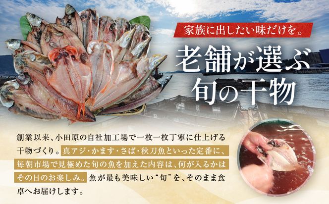 【国産】おまかせ干物セット 松コース【惣菜 魚 干物 ひもの お取り寄せ 御中元 お中元 お歳暮 父の日 母の日 贈り物 家庭用 自宅用 贈答品 贈答用 ギフト 定番 神奈川県 小田原市 】 142069_AM002