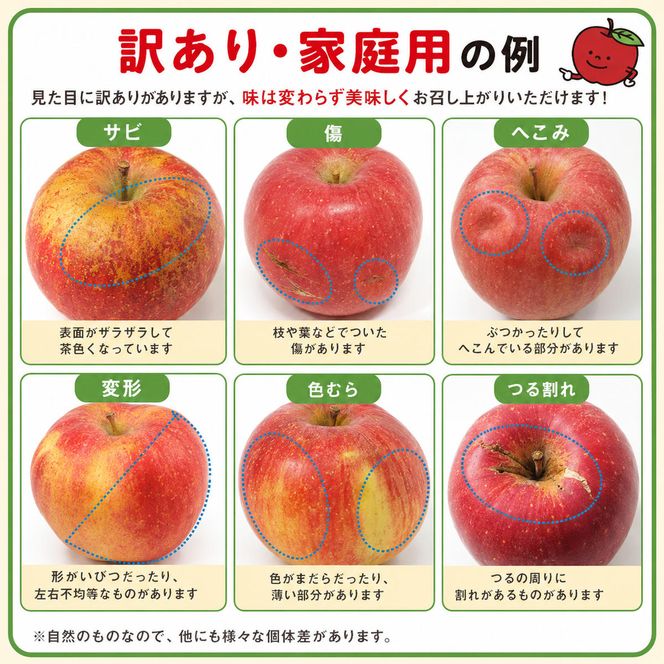 りんご 訳あり 3kg 果物 フルーツ わけあり 不揃い 規格外 ご家庭用 宮城県 大河原町 産地直送 林檎 リンゴ くだもの 先行予約 送料無料