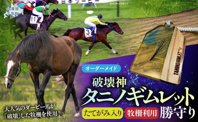 【御守り】破壊神タニノギムレットたてがみ入り牧柵利用勝守り BRTV100