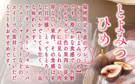 いちじく とよみつひめ 300g 4p 1.2kg 【期間限定発送】 [南国フルーツ 福岡県 宇美町 um40azo970027] 先行予約 イチジク 無花果 フルーツ 果物 くだもの 果実 甘い あまい