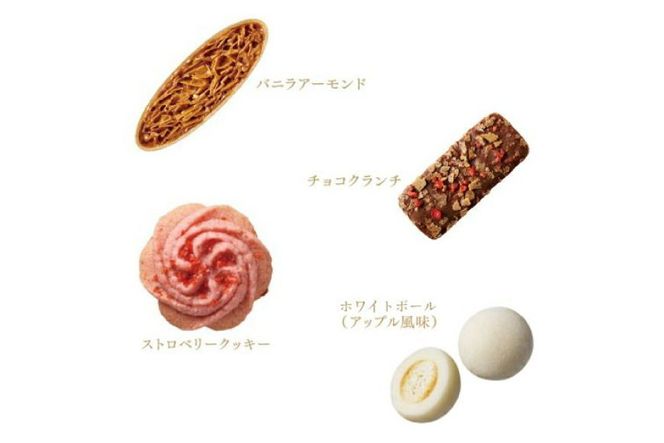 お菓子 赤い帽子 エレガント 4種12個入（紙箱）10箱セット [株式会社ちぼりスイーツファクトリー 山梨県 韮崎市 20742616] 菓子 クッキー 洋菓子 詰め合わせ セット 個包装 アソート スイーツ 焼き菓子