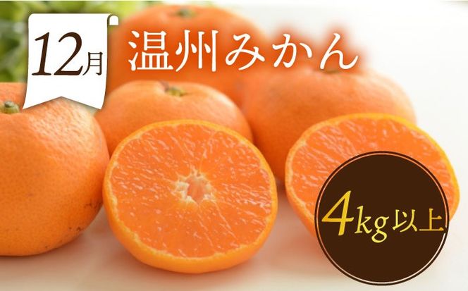 【年6回 偶数月コース】＜2026年2月～初回発送＞果物屋が選ぶ旬のフルーツ定期便 ハウスびわ メロン ぶどう (巨峰) みかん など / 南島原市 / 贅沢宝庫 [SDZ022]