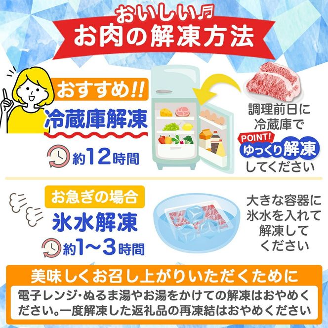 宮崎牛食べ比べ10種盛り焼肉セット_17-3102