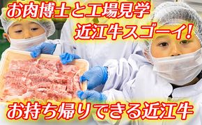 お肉博士と工場見学　近江牛スゴーイ！～お持ち帰りできる近江牛500g付～【CB13W】（国産牛　和牛　ブランド牛　ブランド和牛　黒毛和牛　牛肉　肉　高級　人気　おすすめ　神戸牛　松阪牛 に並ぶ 日本三大和牛 近江牛）