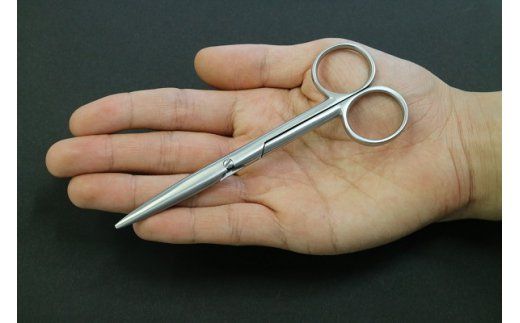 ハサミ すみだモダン 職人が大切な人に贈ったはさみ 普段用 石宏製作所 はさみ 鋏 刃物 文具 文房具  雑貨 日用品 民芸品 工芸品 