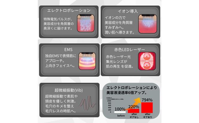 自宅で手軽にフェイス＆スカルプケア【TILLET W-GEAR Gold Black】 141305_HE001VC03