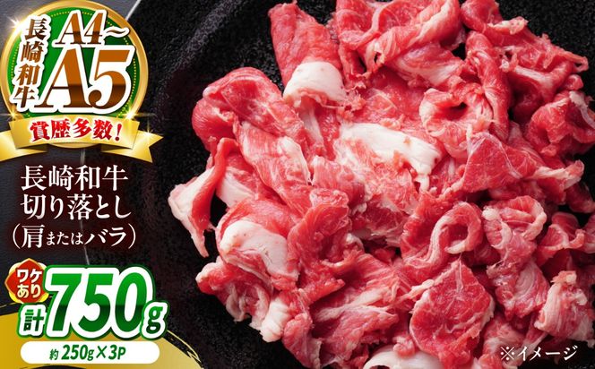 【訳あり】【A4〜A5】長崎和牛切り落とし 750g（250g×3）/ 牛肉 ぎゅう肉 和牛 / 南島原市 / 株式会社MEAT PLUS[SHG037]