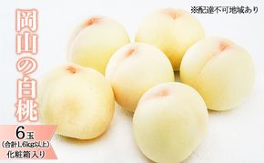 桃 2026年 先行予約 岡山 の 白桃 6玉（合計1.6kg以上）化粧箱入り もも モモ 岡山県産 国産 フルーツ 果物 ギフト デザート 上品な甘み とろける 産地直送 