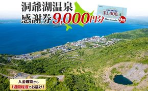 洞爺湖温泉感謝券 9000円 分 金券 クーポン 洞爺湖 湖 温泉 リゾート 有珠山 火山 自然 花火 イルミネーション 旅行 観光 宿泊 施設 宿 アクティビティ 体験 チケット 送料無料 北海道 洞爺湖町
