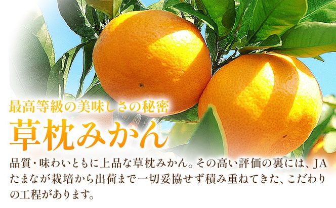 草枕みかん 約4kg 《11月上旬-12月上旬頃出荷》熊本県 玉名郡 玉東町 フルーツ 柑橘 みかん ミカン 草枕 デザート 送料無料 ---gk_ksm_ad11_r7_10000_4kg---