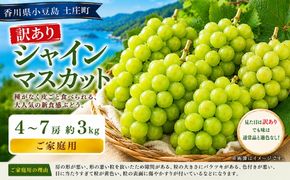 訳あり シャインマスカット  4～7房 約3kg マスカット フルーツ 果物 香川県 土庄町