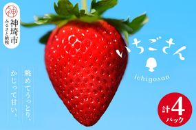 【2027年1月中旬より発送開始】いちごさん4パック【果物 くだもの フルーツ イチゴ 苺 佐賀】(H116133)