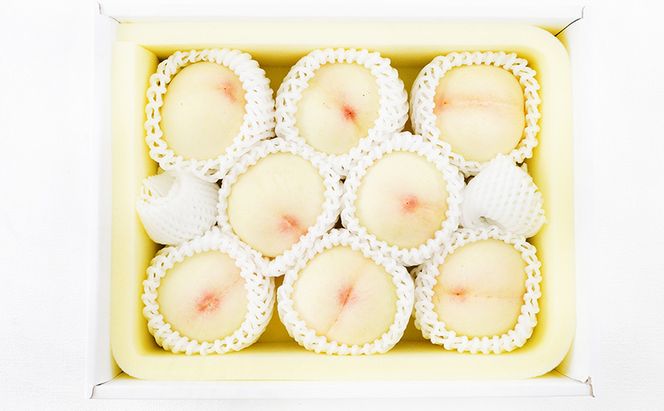 桃 2026年 先行予約 白桃 8玉（1玉200g以上）等級： ロイヤル 化粧箱入り もも モモ 岡山県産 国産 フルーツ 果物 ギフト  最高等級品 糖度12.0度以上 芳潤な香り贈答用 果汁滴る 