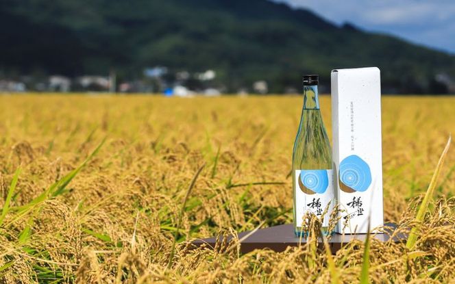 ≪選べる≫ 令和6年産 純米大吟醸「稀世」生酒720ml ×1本 or 人気の「稀世」秋上がり720ml ×1本を加えた2本セット　※北海道、沖縄、離島への配送不可 ※2025年10月上旬頃より順次発送予定 