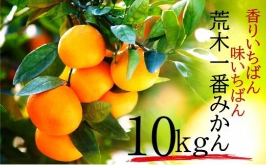 y啪szys\ENzz ߘa8N1o׊Jn / r؈Ԃ݂10kg _1422R-2