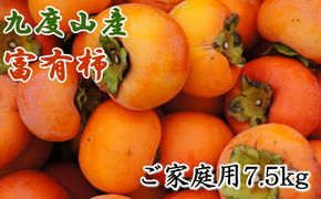 ≪柿の名産地≫九度山の富有柿約7.5kgご家庭用【tec413A】