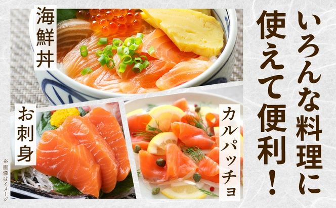 030D239 アトランティックサーモン 1.6kg【ポーション 小分け 刺身 海鮮丼 さーもん 冷凍 訳あり サイズ不揃い まとめ買い】