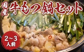 国産牛もつ鍋セット 2-3人前　DY017