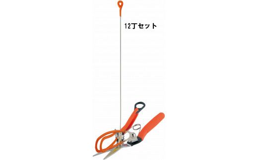 R-11 アスパラ収獲鋏12丁セット