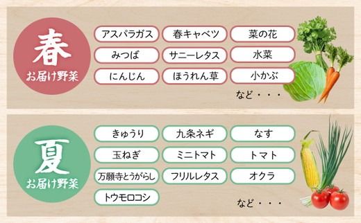 野菜 定期便 直送 6回 朝採れ 7～10品目 京都丹波 亀岡 佐伯の里 訳あり生活応援 家計応援 ※北海道・沖縄・離島への配送不可
