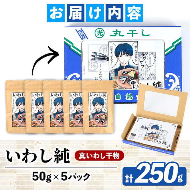 訳あり！いわし純＜いわし干物＞(計250g・50g×5P) 国産 鹿児島県産 阿久根市産 魚 魚介 水産 訳あり 訳アリ イワシ 鰯 真いわし 干物 おつまみ おやつ 冷凍 【鈴木海産】akn091-04