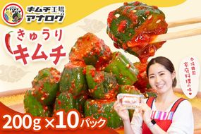 熟成秘伝のオイ(きゅうり)キムチ(200g×10パック)【きゅうりキムチ 発酵キムチ 本格キムチ 国産手作り ご飯のお供 国産きゅうり 九州産 旨辛 特製ダレ】(H104203)