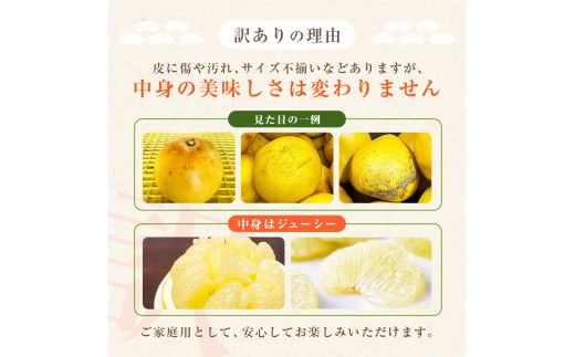 先行予約 訳あり 土佐文旦 家庭用 約5kg 約8～15玉 M～5L混合サイズ 高知県産 文旦 ブンタン ぶんたん 柑橘 かんきつ 蜜柑 みかん 柑橘類 フルーツ 果物 くだもの デザート おやつ 爽やか 甘い ジュース スイーツ 美味しい おいしい