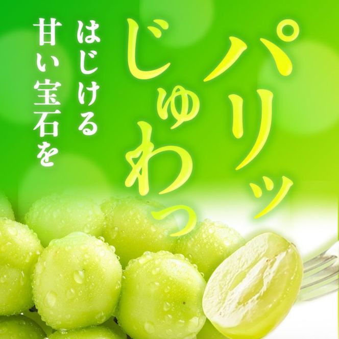 訳あり シャインマスカット 晴王 2～3房 合計1.5kg以上 ぶどう 葡萄 シャイン マスカット 岡山 岡山県産 桃太郎御一行 2026年 先行予約