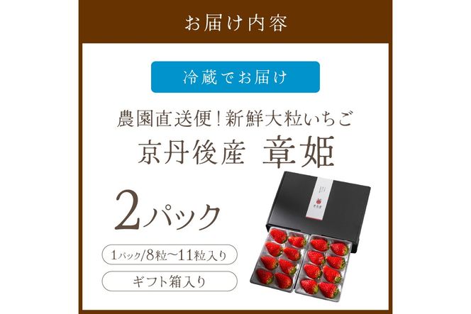 【京丹後産いちご章姫】農園直送便！新鮮大粒いちご 2パック ギフト箱入り／北畿水産 国産 大粒 あきひめ 甘い やわらかい ふるさと納税 いちご イチゴ 苺 先行予約 期間限定 くだもの 果物 先行申込 ストロベリー ギフト 送料無料　HK00159
