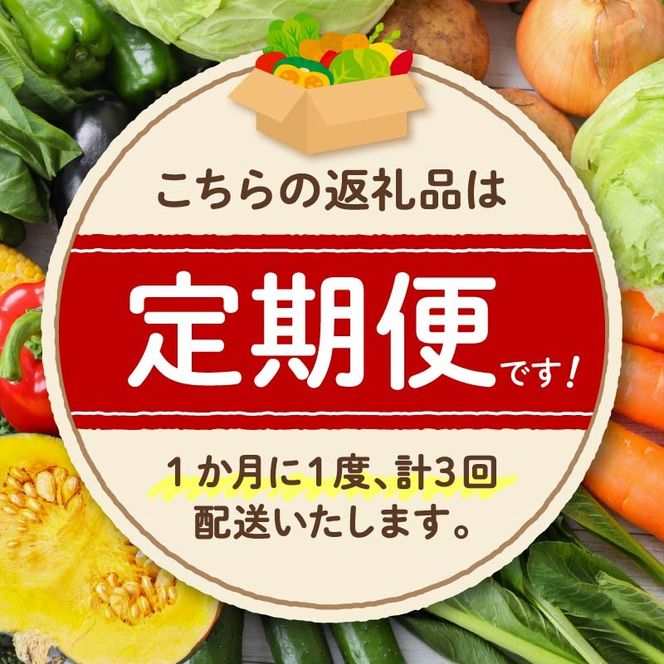 【全3回定期便】 野菜 詰め合わせ 産地 直送 10~ 14種 減農薬 栽培 旬 採れたて やさい 家庭用 健康 食材 静岡県 藤枝市 