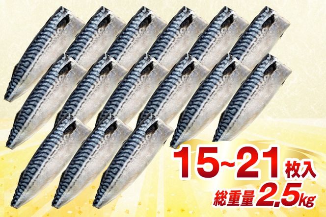 訳あり 減塩 無添加 塩サバ フィレ Mサイズ 総重量 2.5kg (15-21枚入) [足利本店 宮城県 気仙沼市 20565687] 魚介類 魚 大容量 サバ さば 鯖 塩分控えめ 切り身 冷凍 訳アリ