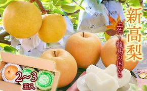 【2026年収穫】森本果樹園の新高梨　2～2.5㎏（2～3玉）