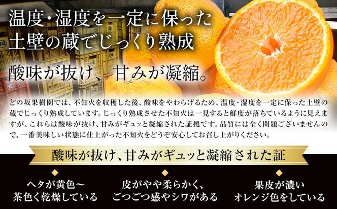 訳あり 不知火 ( デコポンと同品種 ) しらぬい 約5kg (M～5Lサイズ) どの坂果樹園《2027年2月上旬-4月上旬頃出荷》 和歌山県 日高町 しらぬい でこぽん 旬 果物 フルーツ 柑橘 訳あり不知火 訳ありデコポン 訳ありしらぬい 送料無料---wsh_dsk5_ad24_24_9000_5kg---