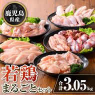 isa717 鹿児島県産 若鶏まるごとセット(合計3.05kg) 鹿児島県産 小分け 真空パック 鶏肉 鳥肉 もも肉 モモ肉 むね肉 ムネ肉 胸肉 ささみ ササミ 筋なし 砂肝 肝 手羽先 手羽中 手羽元 肩肉 小肉 骨付きモモ セット 詰め合わせ 冷凍 【TRINITY】