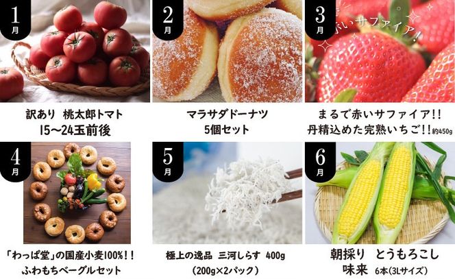 碧南市がチョイスした厳選定期便！ 【全12回】肉・魚・野菜・フルーツすべて詰まった旬の定期便(毎月お届け） 　H028-087