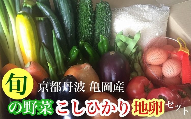 京都丹波・亀岡発 旬の野菜・こしひかり・地卵 詰め合わせセット● ※北海道・沖縄・離島への配送不可