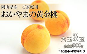 桃 2026年 先行予約 ご家庭用 おかやま の 黄金桃  大玉 3玉（合計約900g） もも モモ 岡山県産 国産 フルーツ 果物