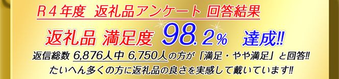 ハンドメイド　八幡帆布鞄リュック・名入れ可能　Mサイズ　【CC04W】（滋賀県　近江八幡市）
