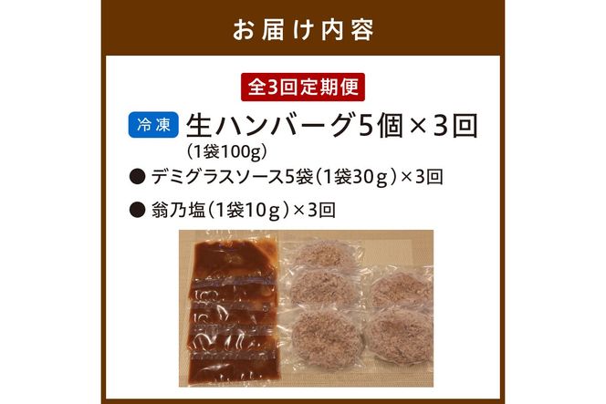 <定期便・隔月3回>塩で食べるやわらかハンバーグ（デミグラスソース付）　NH00041