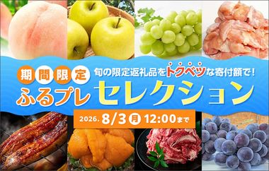 【期間限定】ふるプレセレクション～オリジナル限定返礼品特集