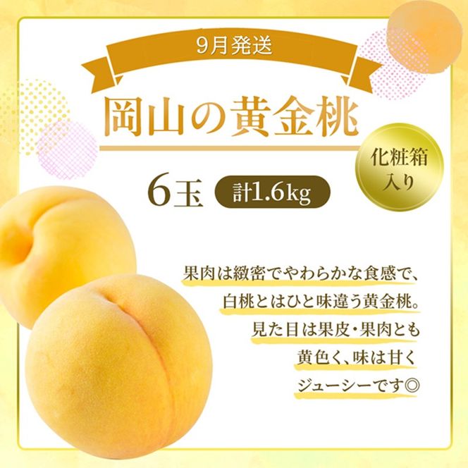 桃 定期便 2026年 先行予約 岡山 の 桃 食べ比べ 3回コース もも モモ 岡山県産 国産 フルーツ 果物 ギフト 食べ物 食品 デザート 食後 果汁 きめ細やか やわらかい 岡山の果物 