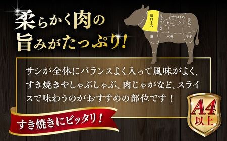 【A4〜A5 等級】博多和牛 肩ロース うす切り 400g 糸島市 / ヒサダヤフーズ [AIA057] スライス 牛肉 国産 博多 和牛 キャンプ アウトドア お取り寄せ 送料無料