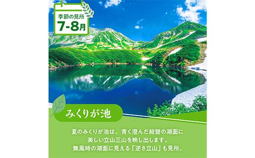 立山黒部アルペンルート ( 立山駅 ～ 扇沢駅 ※片道 ) 優待券 立山黒部貫光 観光 旅行 券 チケット 体験 トラベル 黒部 富山県 立山町 F6T-780