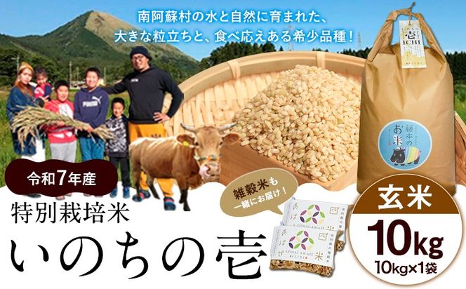 yF{숢hzV ߘa7NY ʍ͔| ̂̈()10kg×1 Gĕts10{-11{oׁt F{ 숢h F{Y F̂ G---sms_inci6_k1011_r7_30000_g10kg---