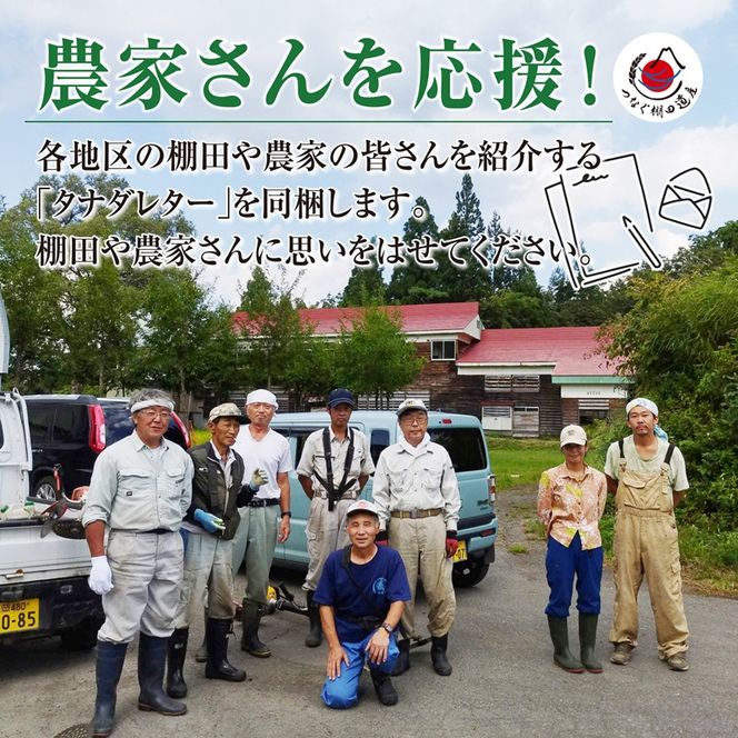 【令和8年産 先行予約】【定期便／全3回】無洗米2kg　新潟県十日町市魚沼産コシヒカリ「つなぐ棚田米」 米 こしひかり 無洗米 定期 十日町市