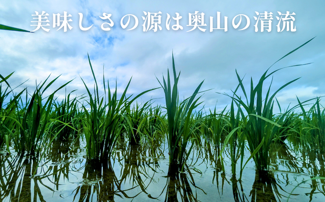 新米 令和7年産 にじのきらめき 5kg 17000円 奥山の冷たい水で育てた 愛媛県 愛南町産 石川さんちのお米 送料無料 産地直送 農家直送 米 こめ ブランド米 新品種 大粒 もっちり 甘い 冷めても美味しい お弁当 おにぎり にもおすすめ 数量限定 期間限定 特産品 人気 ランキング ギフト 贈答 プレゼント 内祝い お返し お取り寄せ 愛媛県 愛南町 石川健一