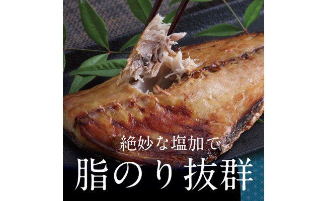 【CF-R7hbk】SST002　高知の海の干物たち＜土佐の海風で干した抜群の干物を＞＜高知市・南国市共通返礼品＞