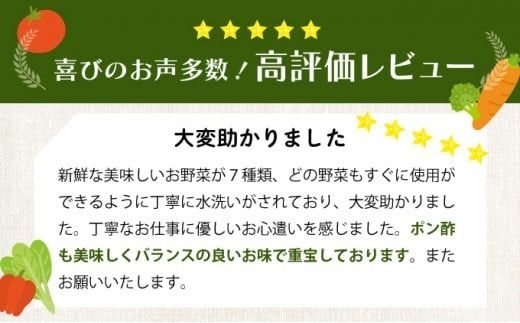 季節のお野菜詰め合わせセット 定期便 2回 旬のおまかせ 詰め合わせ 産地直送 季節の新鮮 野菜 定期便 果物 セット じゃがいも きゅうり トマト とうもろこし アスパラガス 玉ねぎ 蓮根 等 ふるさと納税 高知県 室戸市 rk051